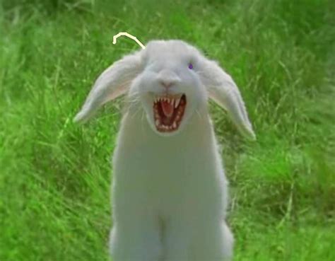 Story about a poor rabbit by AxeAppleVodka on DeviantArt