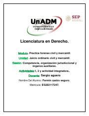 Modulo Actividad Pdf Licenciatura En Derecho Practica Forense