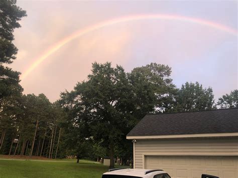 gods covenant  life  noah  genesis