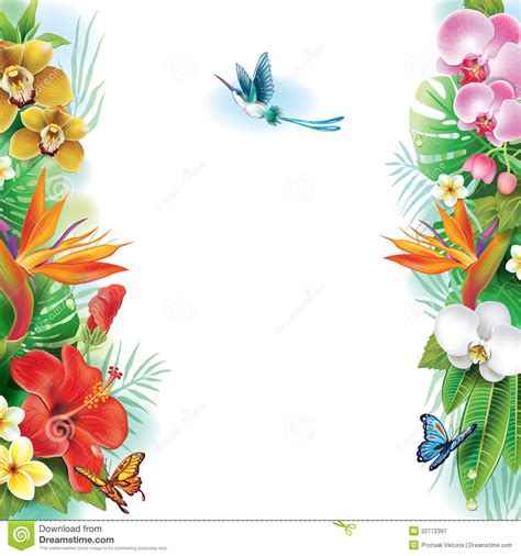 Border plant clipart 20 free Cliparts | Download images on Clipground 2024