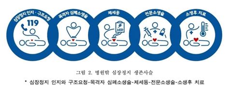 이태원 참사 심폐소생술 숙지 ‘필수골든 타임 내 실시해야