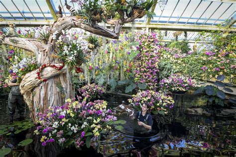 FLO London Review Kew Gardens Orchid Festival 2024