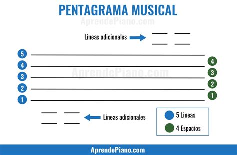 El Pentagrama Y Sus Partes Lineas Y Espacios