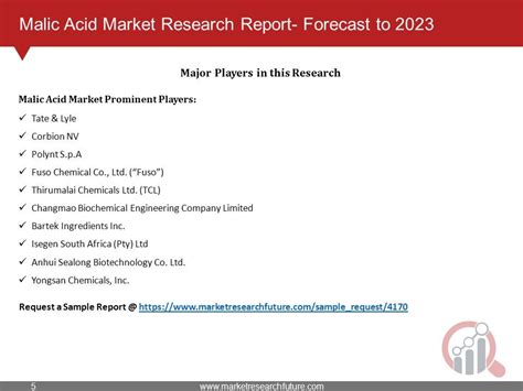 Malic Acid Market Research Report Forecast To 2023 Industry Survey