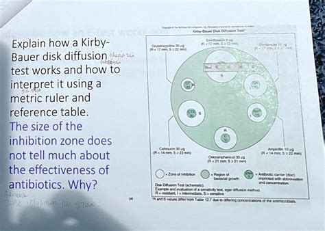 Explain How A Kirby Bauer Disk Diffusion Test Works And How To