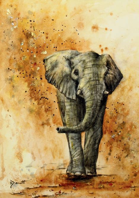 How To Paint An Elephant In Watercolour With Kerry Bennett Elephant