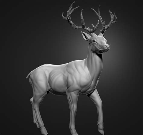 Artstation Deer Wip