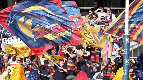 Adelaide Crows Vs Gold Coast Suns Tips Odds And Teams Afl Round