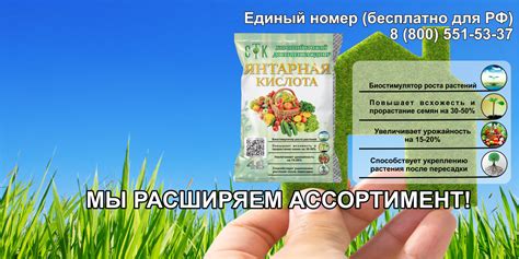 ООО "СТК" - удобрения оптом от производителя - Главная