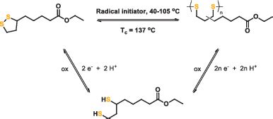 Radical Ringopening Polymerization Of Lipoates Kinetic And