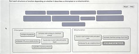 Solved Sort Each Structure Or Function Depending On Whether Chegg