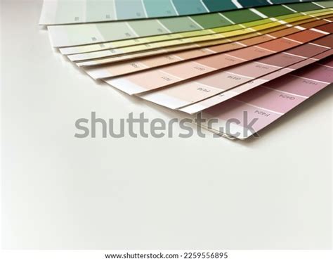 Color Palette White Background Palette Interior Stock Photo 2259556895 ...