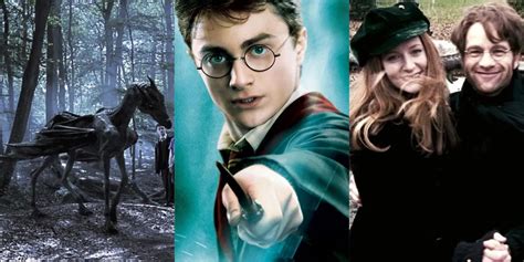 Harry Potter 10 Plot Holes That Bothered Redditors The Most