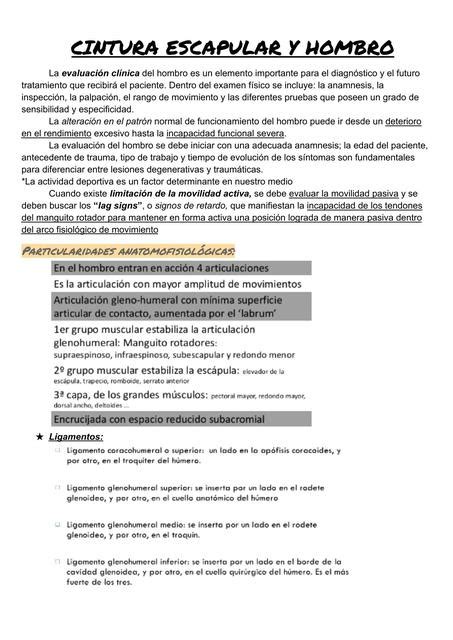 Cintura Escapular Y Hombro Kineapuntes De Noni Udocz