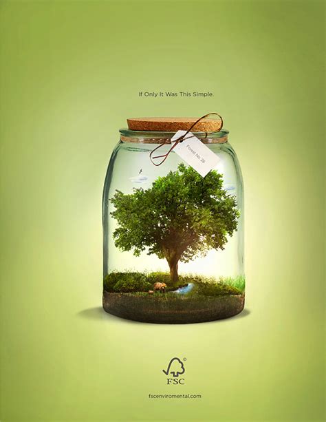 Forest Stewardship Council "FSC" on Behance