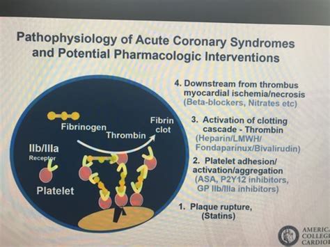 Accsap Nstemi Flashcards Quizlet