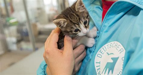 Tierheime Helfen Deutscher Tierschutzbund E V