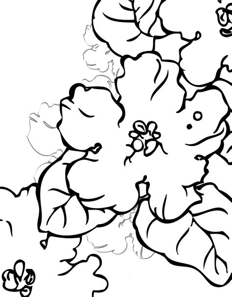 Violet Flowers Coloring Pages - Coloring Cool