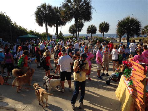 Hilton Head Humane Association Dog Walk - Hilton Head, SC | HiltonHead.com