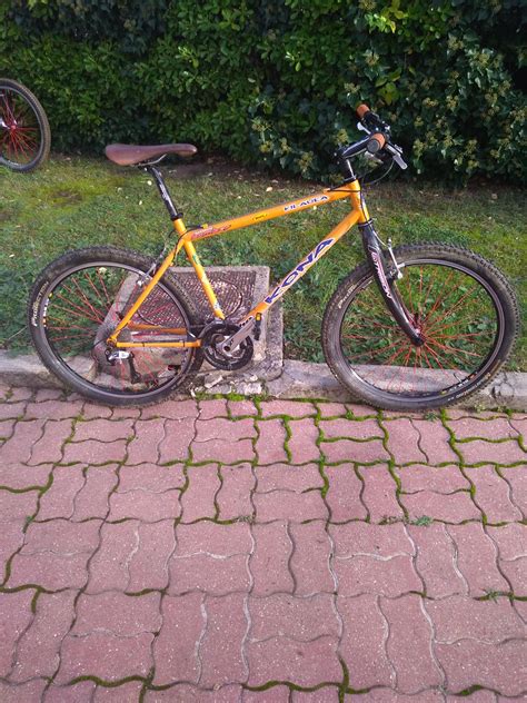 P_20221110_153336[1] | geza78290 | Flickr