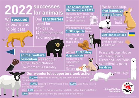 four paws farewell 7