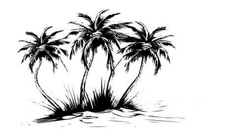 Premium Vector Tropical Coconut Palm Trees Vector Sketch Illustration