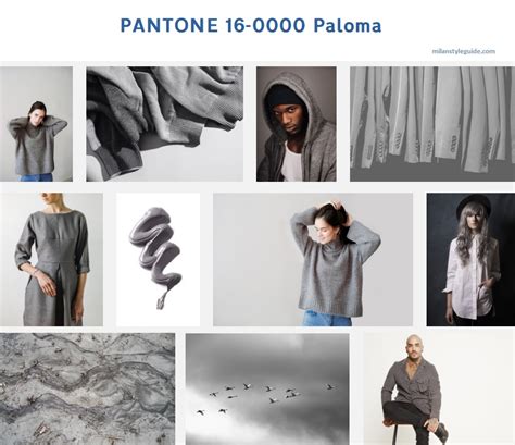 Pantone Paloma Milan Style Guide