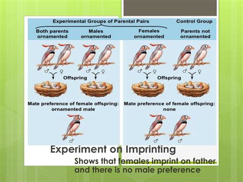 Ppt Natural Selection Favors Behaviors That Increase Survival And Reproductive Success