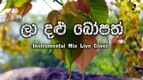 La Dalu Bopath Instrumental Mix Cover Live Youtube