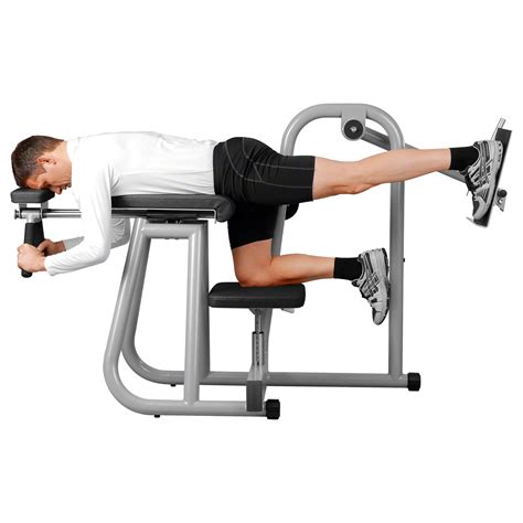 Ergo Fit Hip Bench Professionelles Fitnessstudiogerät Bauch Beine Po