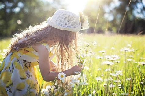 Girl Picking Flowers · Free Stock Photo