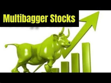 Top Multibagger Stocks Of Moneyinsight