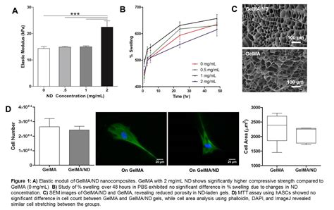 Frontiers Gelatin Based Nanocomposite Hydrogel As A Platform For Stem