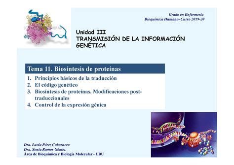 11 Síntesis de proteínas Unidad III TRANSMISIÓN DE LA INFORMACIÓN