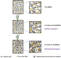 quartz sand surface bound rice root exudates decreased  transport