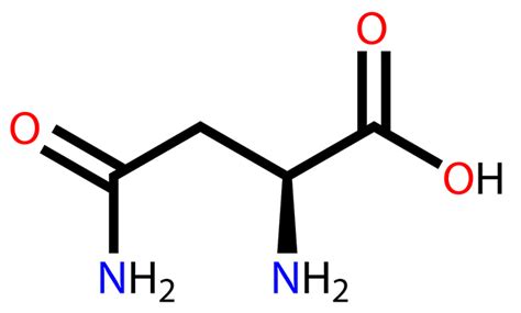 Asparagine sources, health benefits and uses