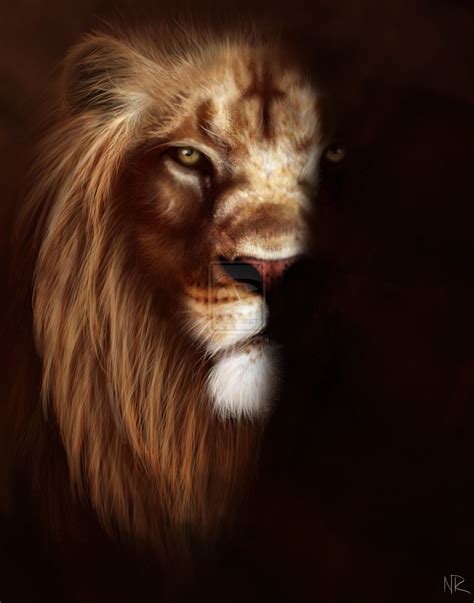 Wallpaper images: 4K, HD, Full HD, Dual Screen | Lion photography, Lion ...