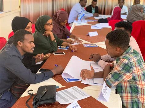 Tadamon In Somalia Healthcare Workers Women And Msmes Spark