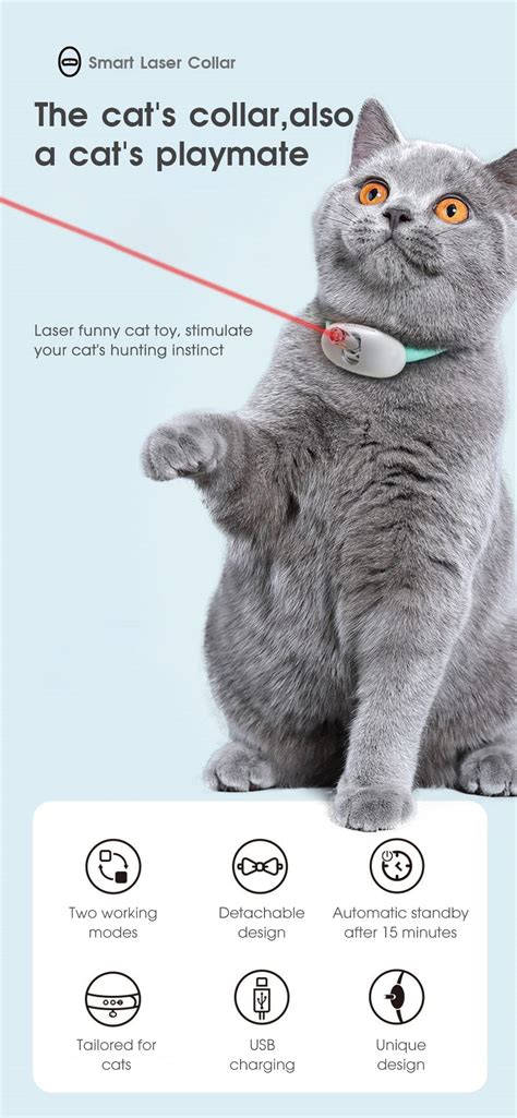 Automatic Cat Laser Toy, Smart Amusing Cat Laser Collar for Kitten, an ...