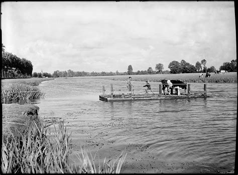 La traversée des vaches Atlas des Marais de Vilaine