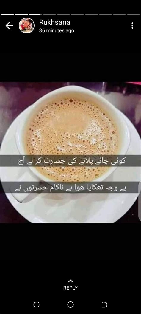 Pin By On Chaye And Lahore Food Urdu Funny