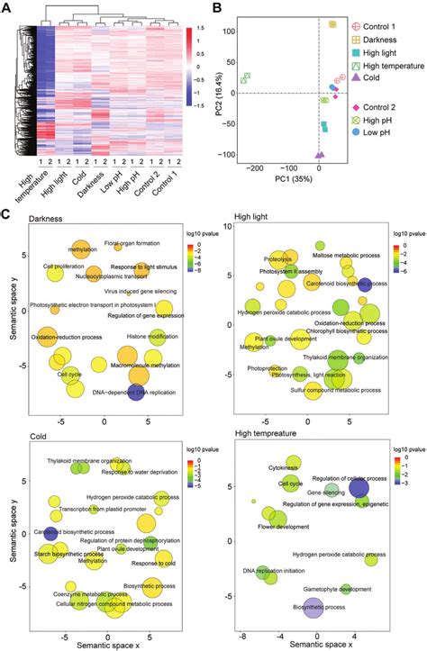 Transcriptome Profiles Of M Viride Cultured Under Different