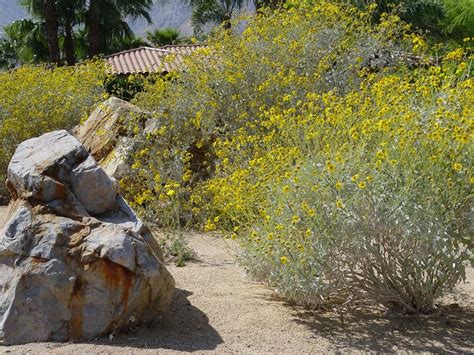 Boulder and Rock Selection & Placement - Landscaping Network