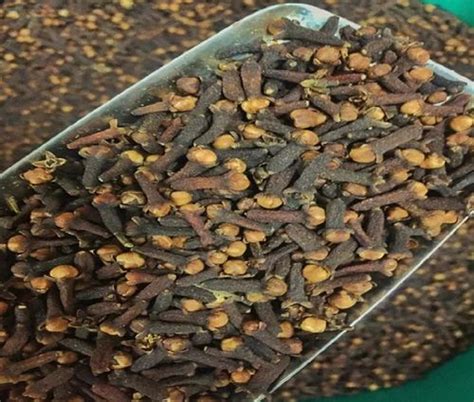 Kerala Clove Dry Brown Cloves Whole At Rs Kg In Sangli Id