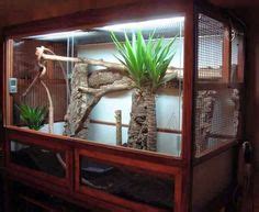 Iguana Ideas Iguana Reptile Enclosure Iguana Cage