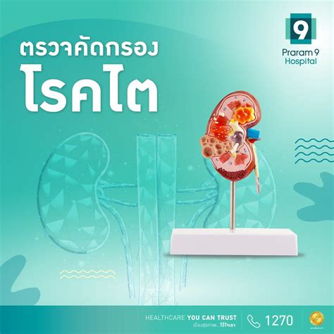 แพ็กเกจตรวจคัดกรองโรคไต | โรงพยาบาลพระรามเก้า