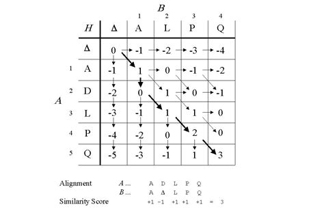 Finding The Optimal Alignment Of Two Sequences