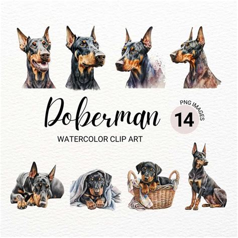 Doberman Clipart | Dog PNG | Doberman Puppy Clipart | Doberm - Inspire ...