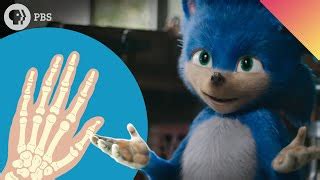 Aprende inglés a través de videos Sonic Hedgehog Gene por qué