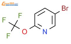 Bromo Trifluoromethoxy Pyridine